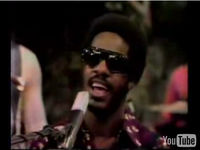 Stevie Wonder