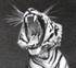 Avatar for JAGD