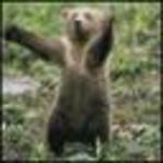 Profile image of clare_bear