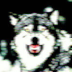 Profile image of dissonance_is_bliss