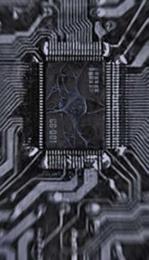 Profile image of cg113