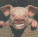 Profile image of geejammer