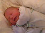 Profile image of Andras
