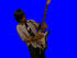 Avatar for Calvinios