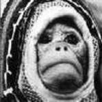 Profile image of aleph_null