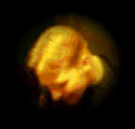 Profile image of risak