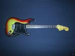 Profile image of 77sunburst