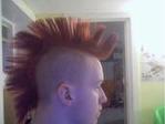 Profile image of TheAnarkyBoy