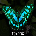 Profile image of Tryptic