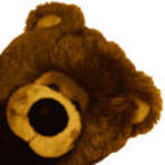 Profile image of tonybear