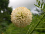 Profile image of humphreyswill