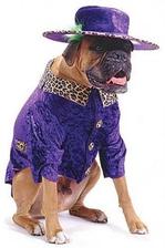 Profile image of hunden
