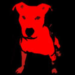 Profile image of reddogmusic