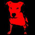 Avatar for reddogmusic